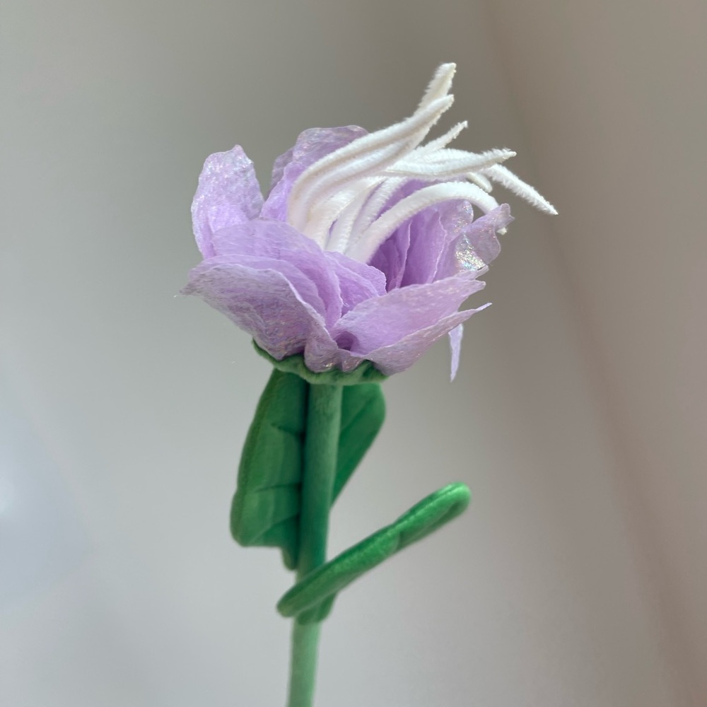 CJ Hendry Flower 12hr release iridescent ranunculus bloom